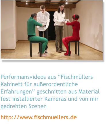 Performansvideos aus Fischmllers Kabinett fr auerordentliche Erfahrungen geschnitten aus Material fest installierter Kameras und von mir gedrehten Szenen